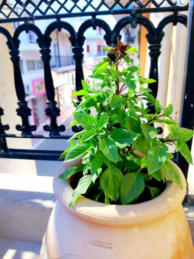 Sitia City Center Luxury Apartment Eksteriør bilde